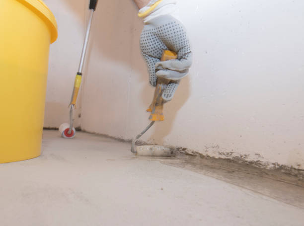 Best Pest Exclusion Services  in Medicine Lodge, KS